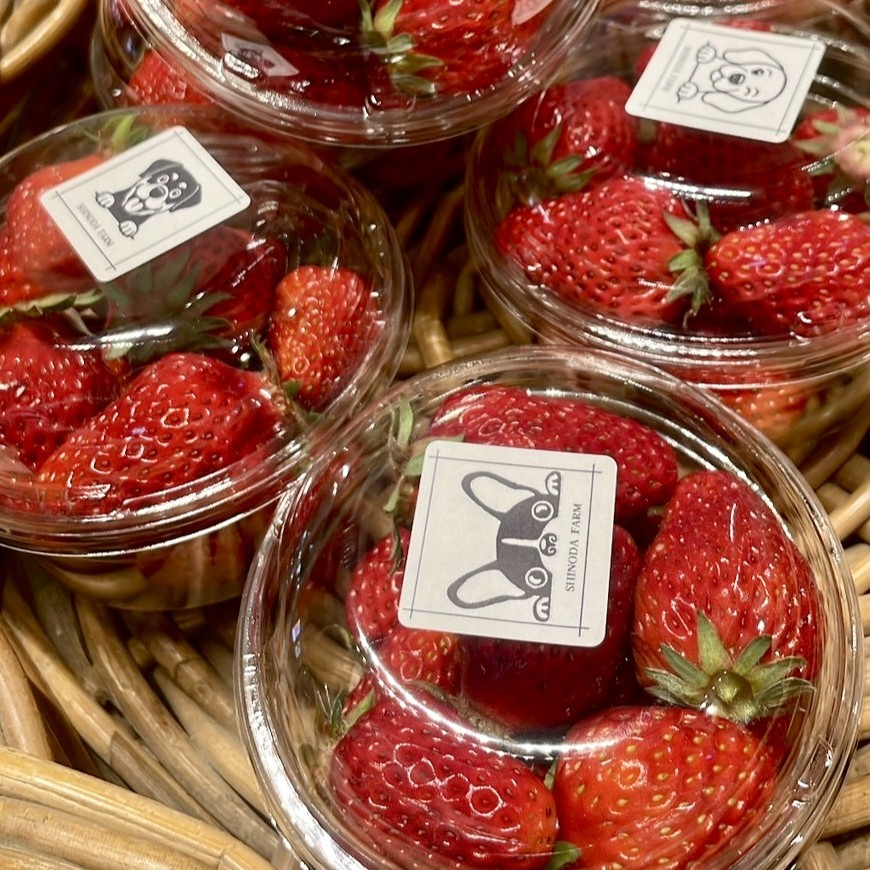 画像に alt 属性が指定されていません。ファイル名: IMG_7224.jpg